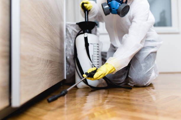 Professional Pest Control in Isle Of Hope, GA