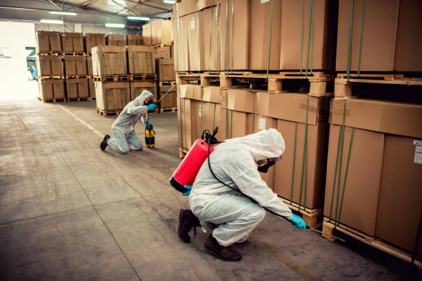 Best Ant Control Services  in Isle Of Hope, GA