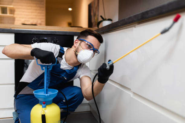 Best Pest Prevention Services  in Isle Of Hope, GA