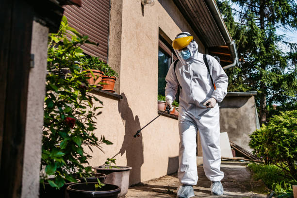 Best Mosquito Control Services  in Isle Of Hope, GA