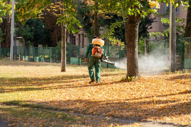 Best Pest Inspection Near Me  in Isle Of Hope, GA