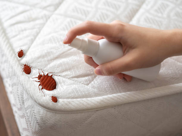 Wasp Removal Services in Isle Of Hope, GA
